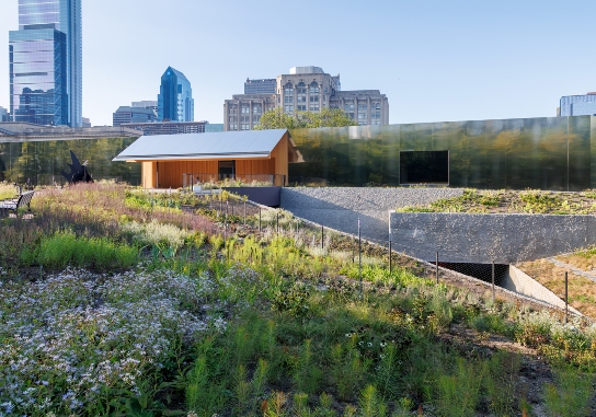 541 Calder Gardens HdM 0935 Web